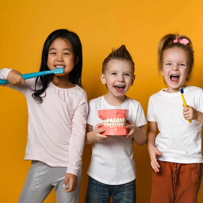 Kids with toothbrushes and dental model smiling.