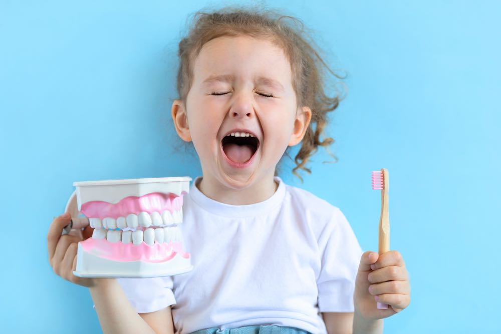 Child smiling with toothbrush and dental model.