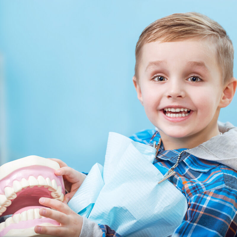 Smiling child with dental model at dentist office